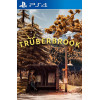 Truberbrook PS4